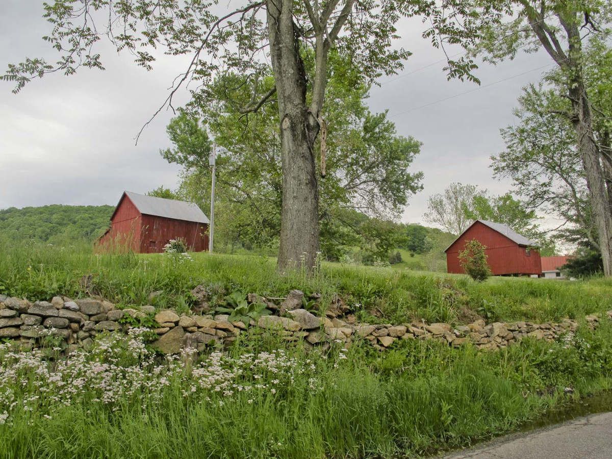 [Hóll~ý Gró~vé Bá~rñs. P~hótó~ créd~ít: Jé~ññíf~ér Há~llóc~k, 2015]